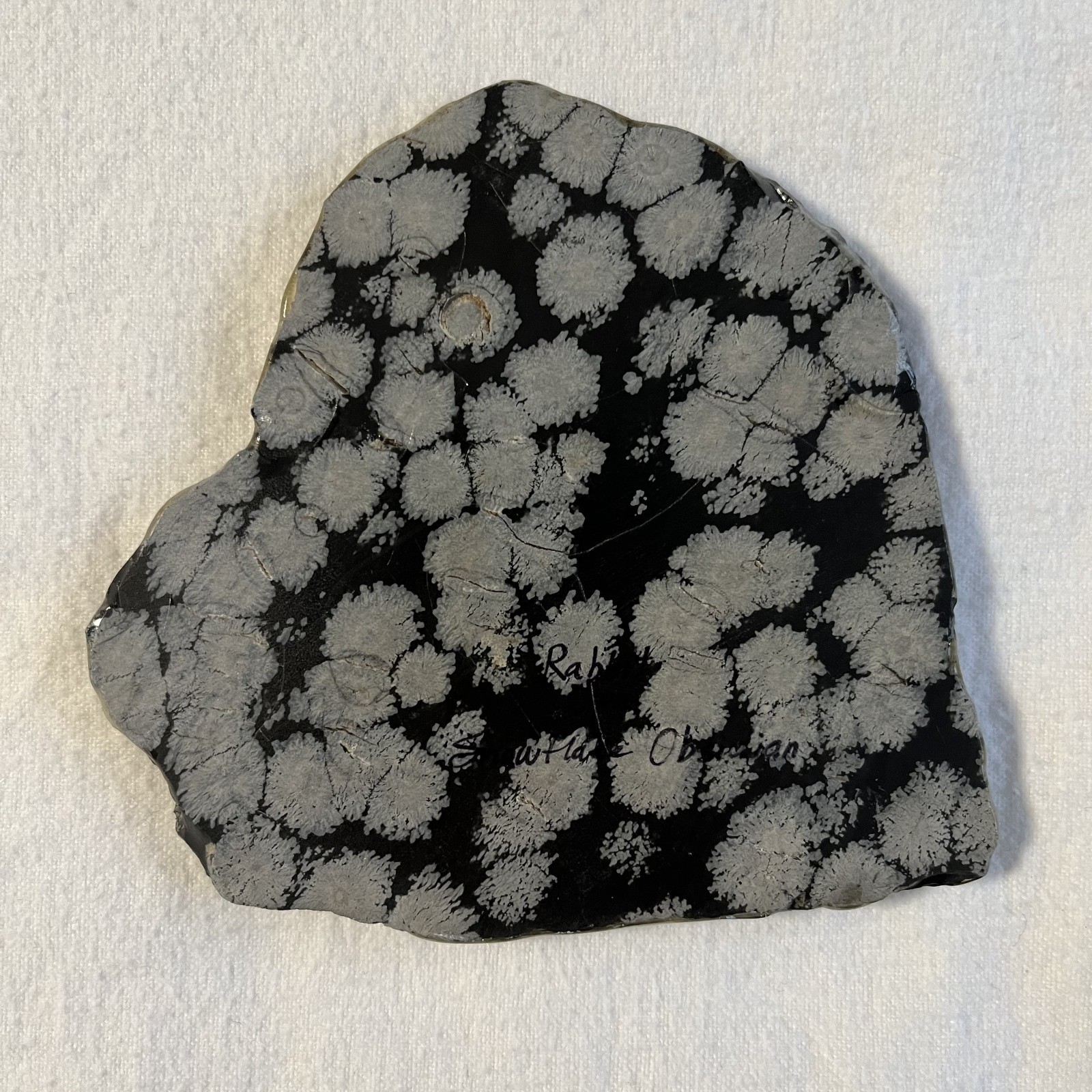 Heather Haynes McGee Painting Rabbit on Snowflake Obsidian