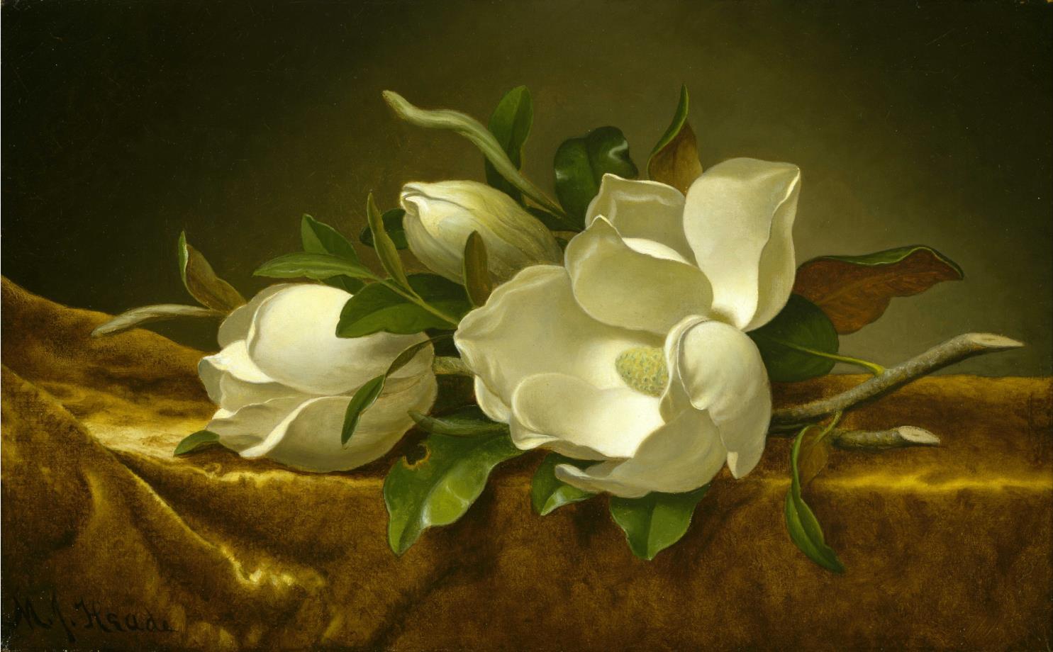 Art Giclee Printed Oil Painting Print Stillife Magnolias on Gold Velvet Cloth