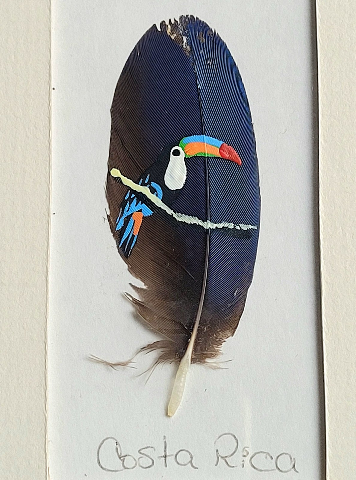 Unique Hand Painted Dark Blue Small Feather Art Toucan Bird Costa Rica Framed