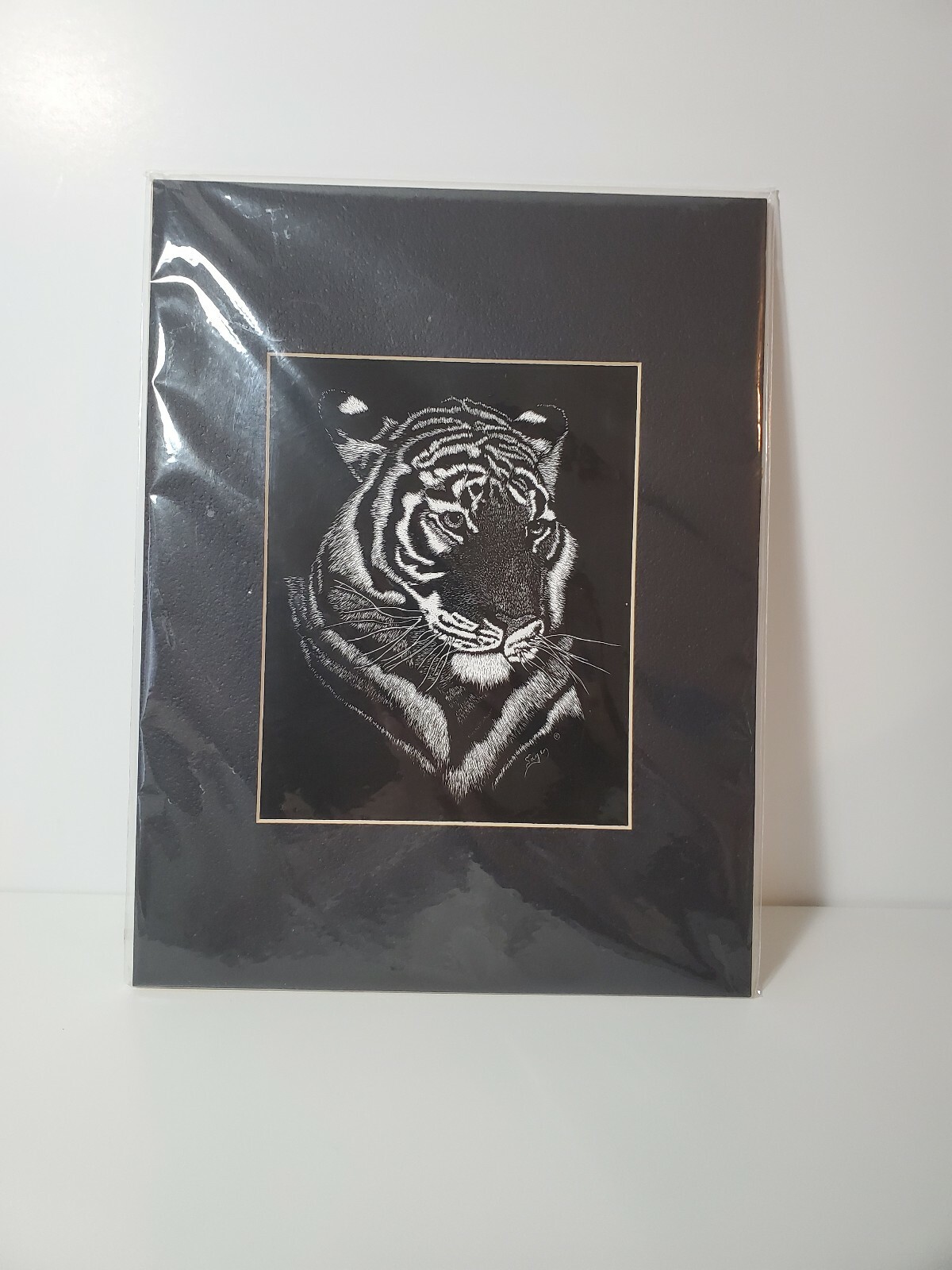 Scratchboard Art Wildlife Portraits Tiger By Jim Sage