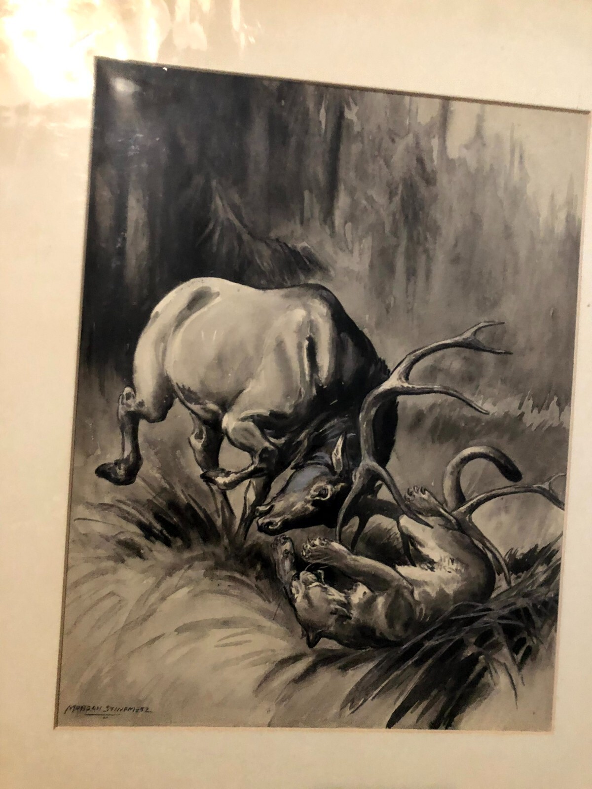 Signed Published Dramatic Illustration Art Painting Elk And Mountain Lion