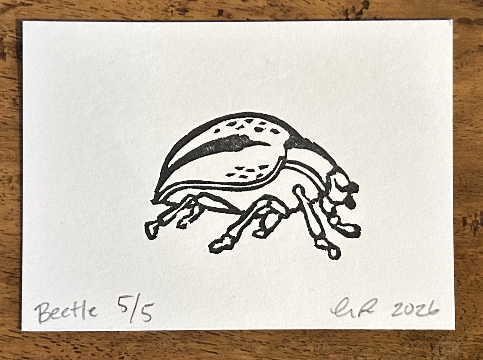 aceo original art by Emily Beck, Beetle 5/5, linocut insect art, 3.5×25″