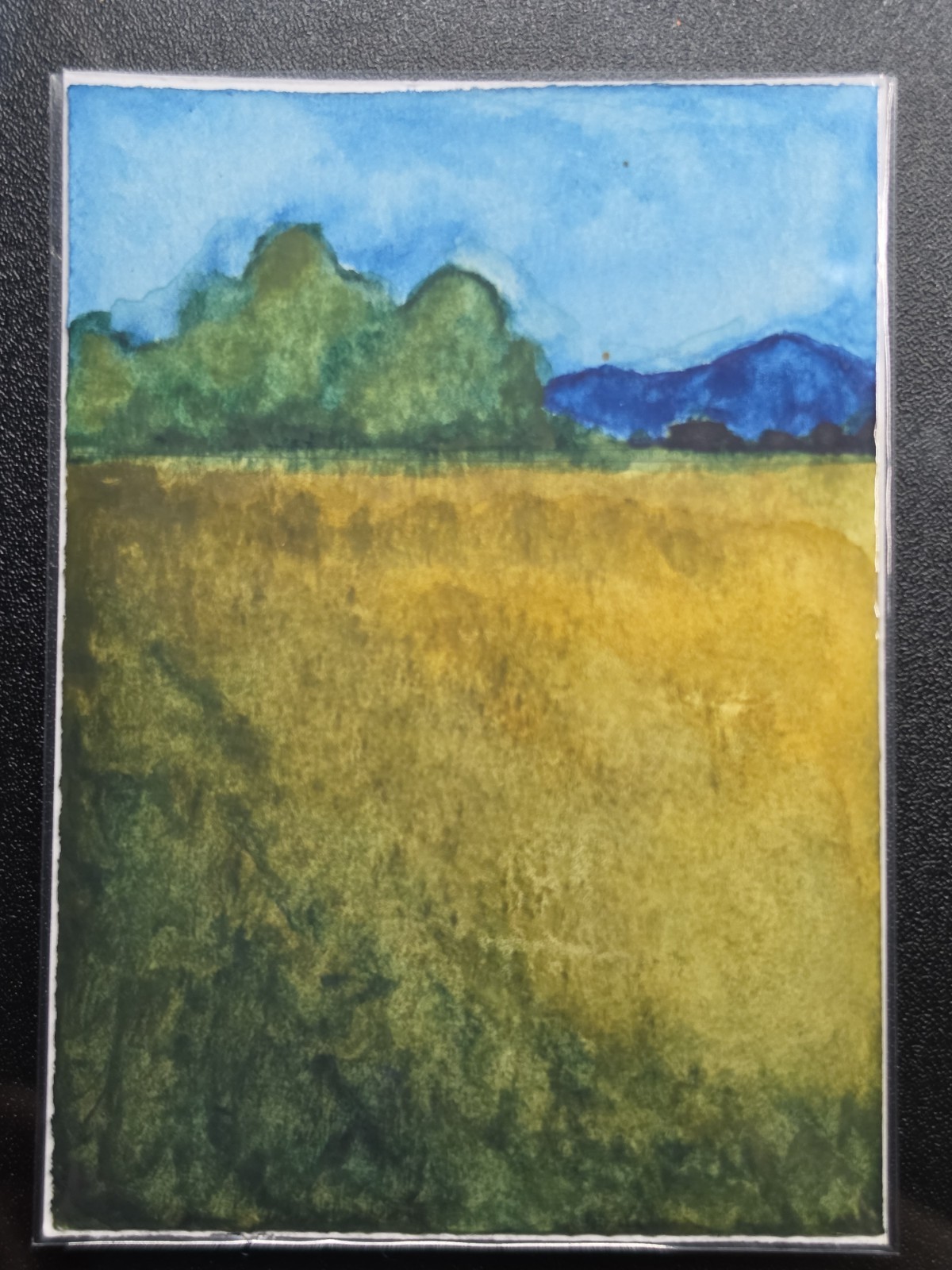 Aceo Original Mountain Meadow Morning Landscape In Colorado By AliArtThings
