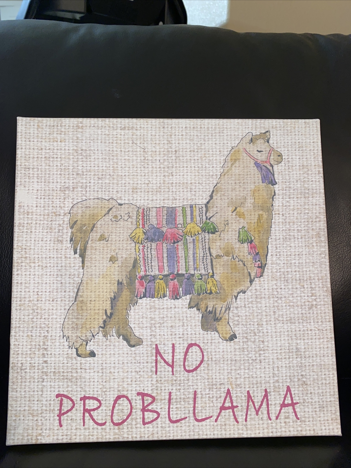 Framed On Canvas Artwork No Probllama