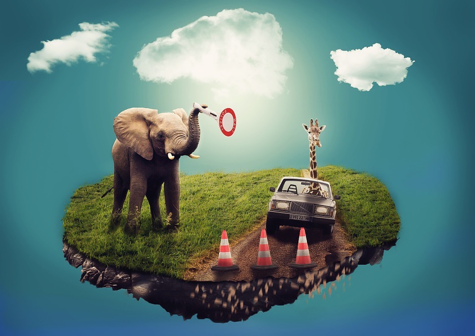 perfect oil painting handpainted on canvas»Elephant, giraffe in a car» NO1255