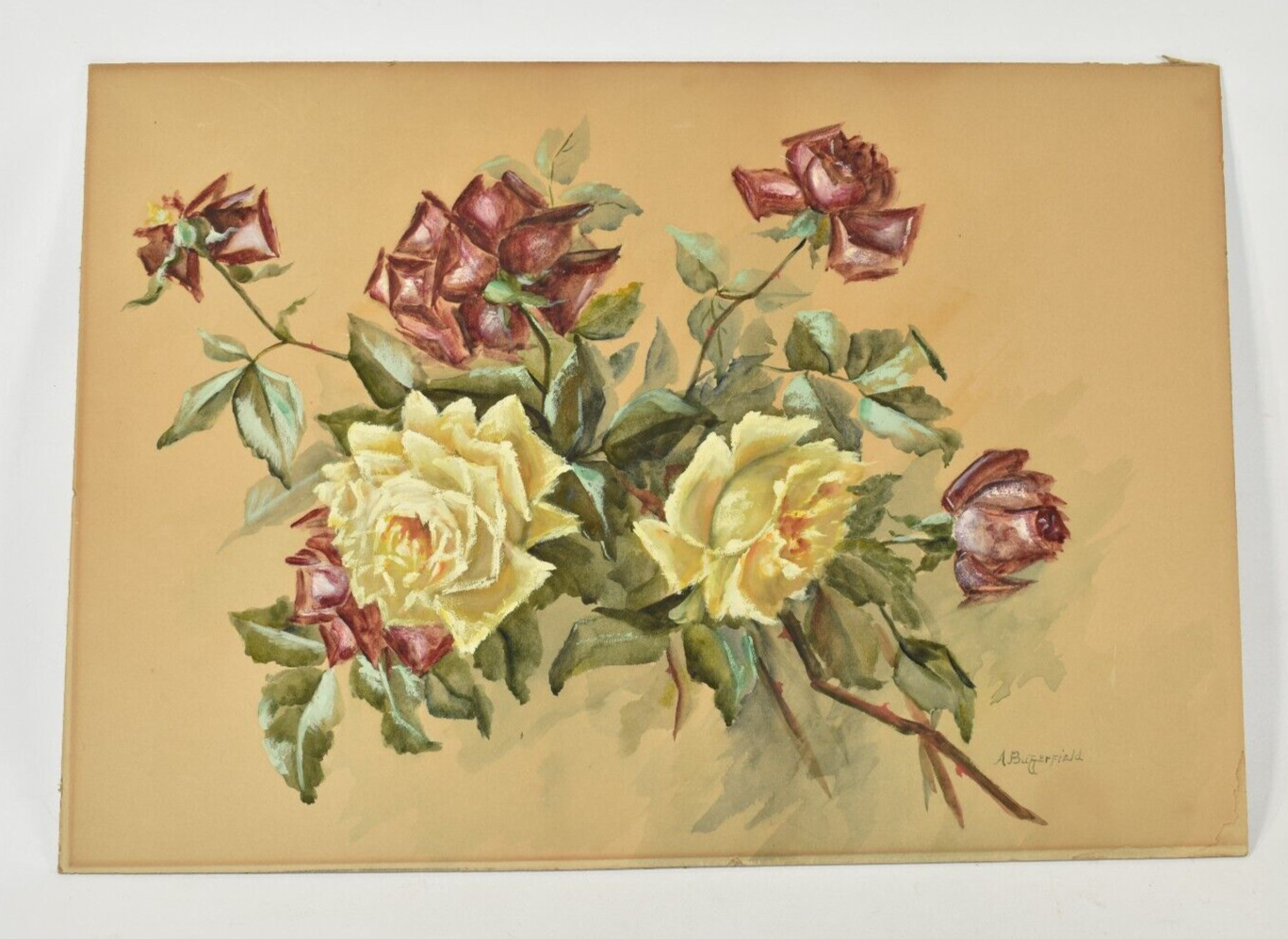Vintage Original Painting Roses on Paper Mounted on Board 14.25×20.5 No Frame