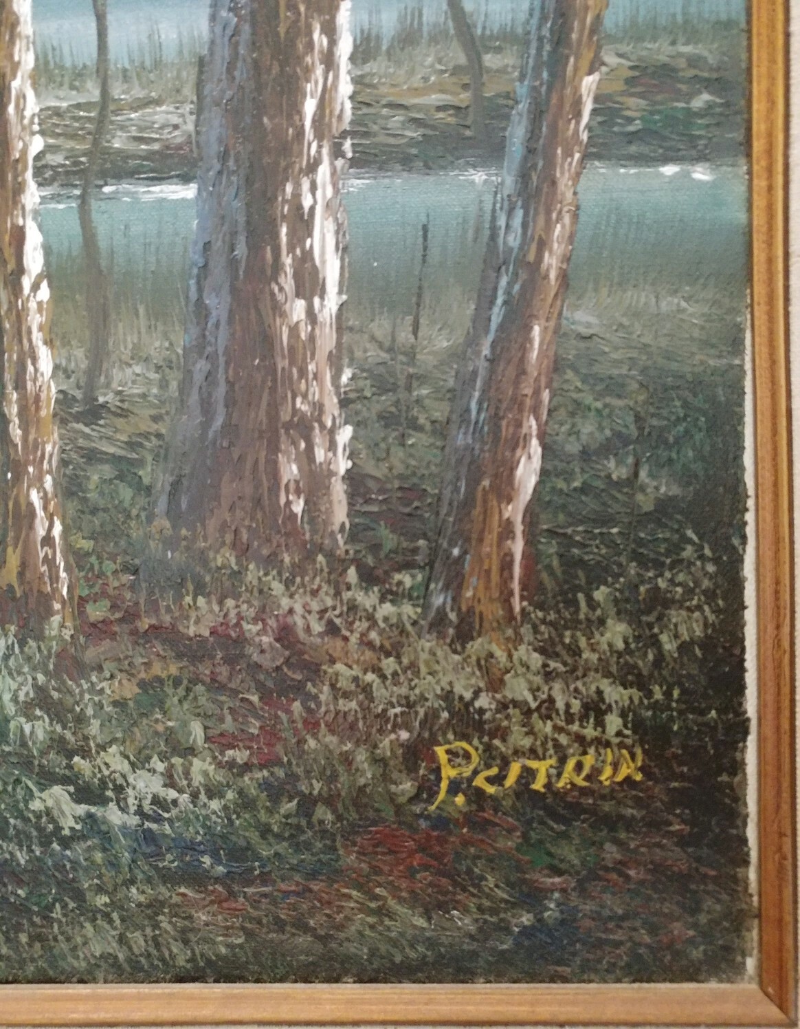 Framed P. CITRIN Artist Signed Ducks Flying at Lake Original Oil Painting