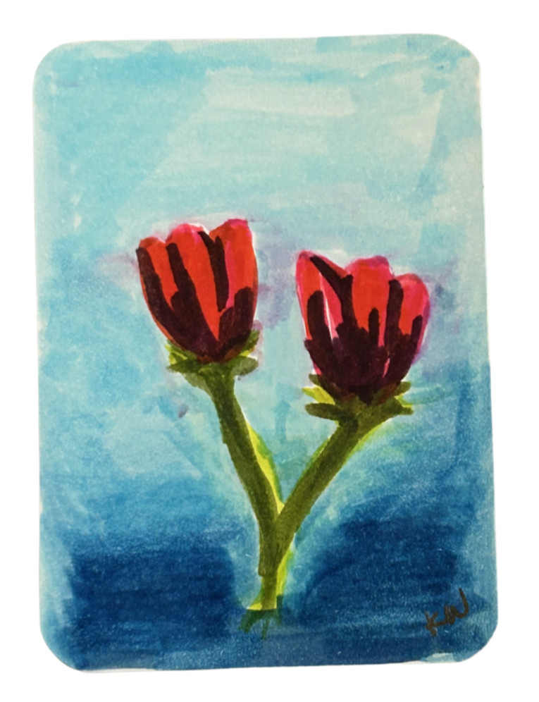 ACEO Original Art Cute Tulip Flowers Still Life Drawing OOAK by Kazzerit