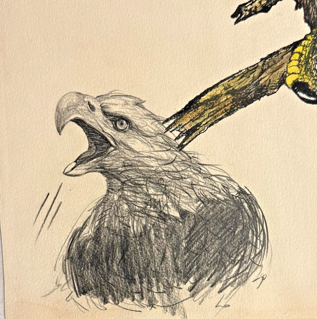 James D Joyner Original Signed Bald Eagle Patriotic Art 1989 25.5×18 July 4 Gift