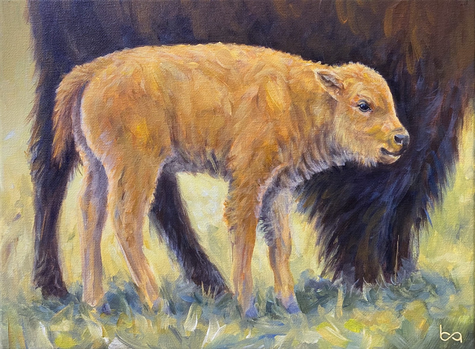 Original Bison & Calf Painting 9×12″ Western Wildlife Art – Buffalo Acrylic