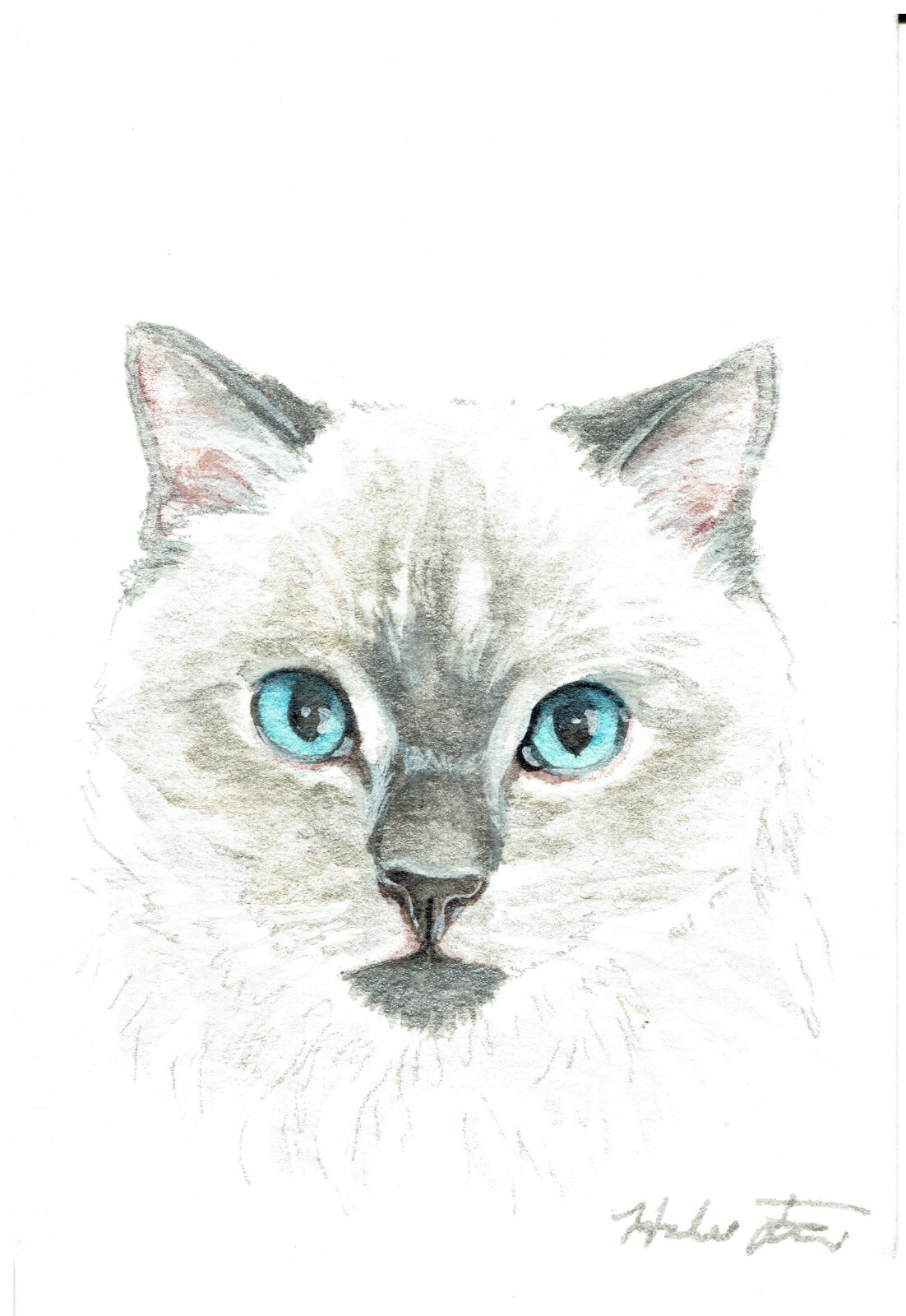 ACEO Original Watercolor Painting 2.5″ x 3.5″ Siamese Kitty Pet Portrait