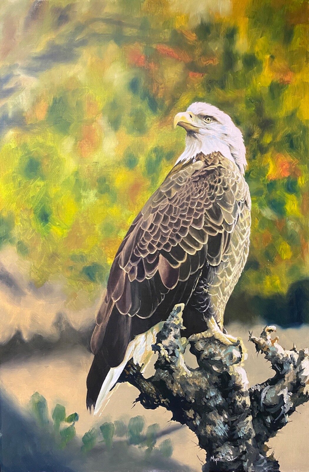 Orig. Bird Art Painting Bald Eagle by Myatt, Signed, ’83, Oil on Board, Unframed