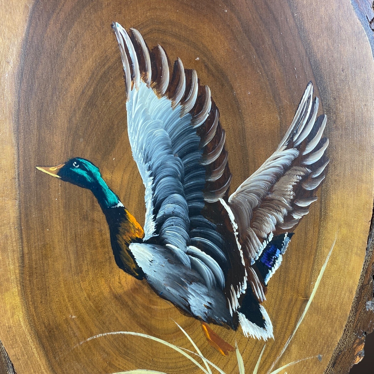 Mallard Duck Wood Slice Painting C Burns 1982 Original Wildlife Art on Live Edge