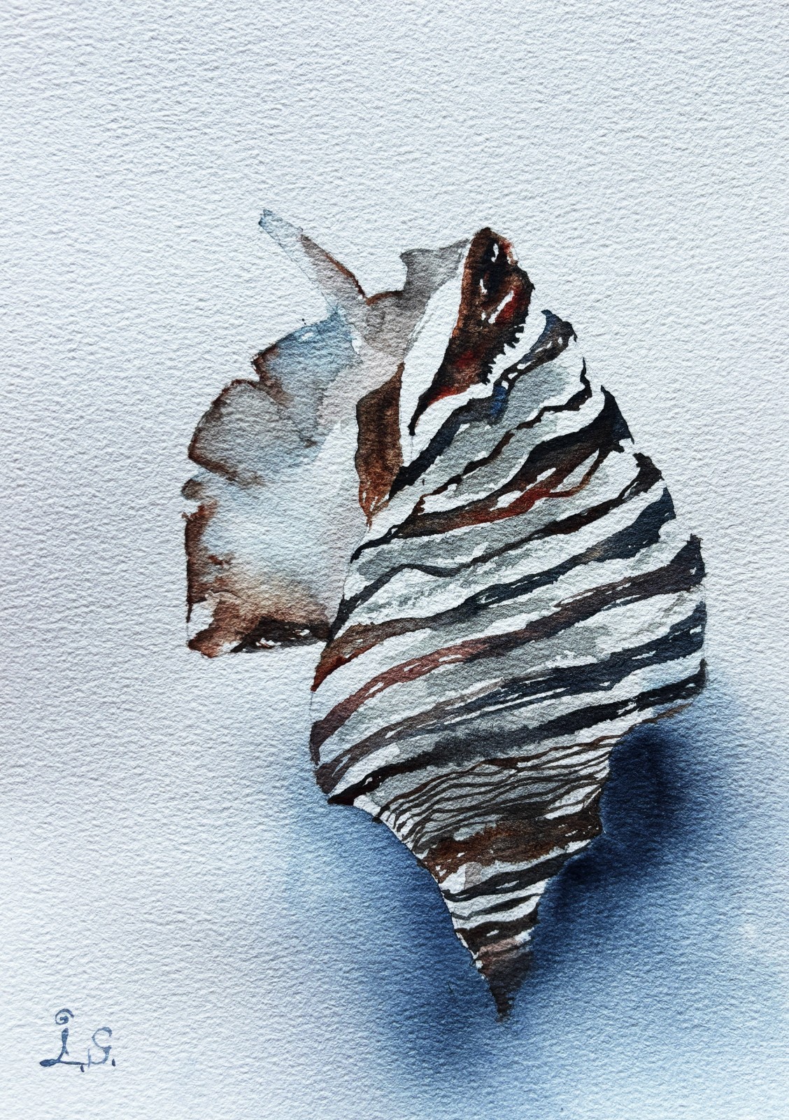 SeaShell Original Watercolor Painting Sea Wall Art HandMade Painted Gifts Summer