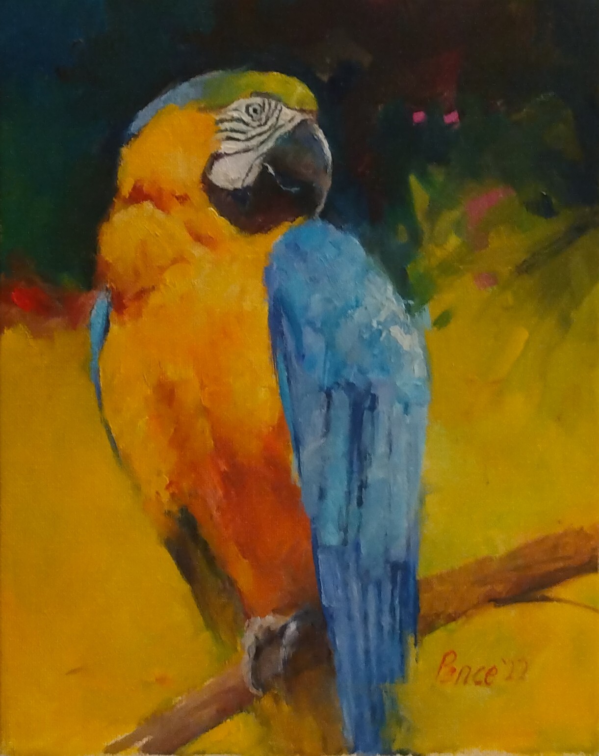 Parrots tropical birds original oil painting wall art on canvas wall decor