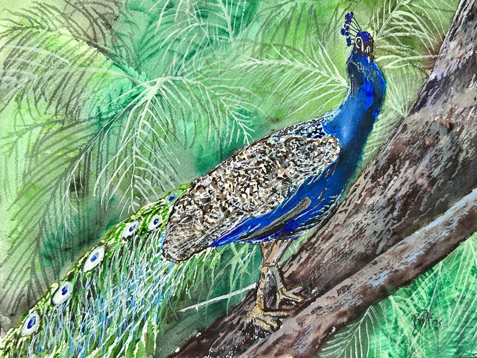 Peacock bird original watercolor painting signed 9 x 12 inches
