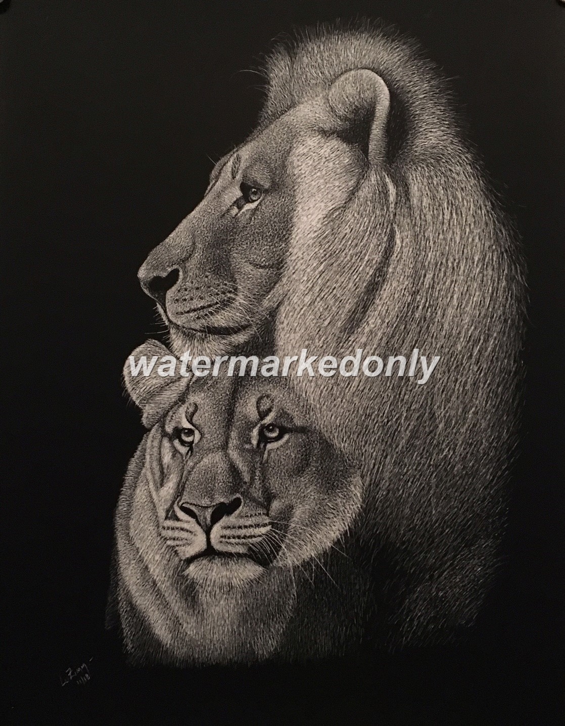 Mr and Mrs Lions Always in Love, as Usual- YES! Original 11″x14″x1/4″ Signed