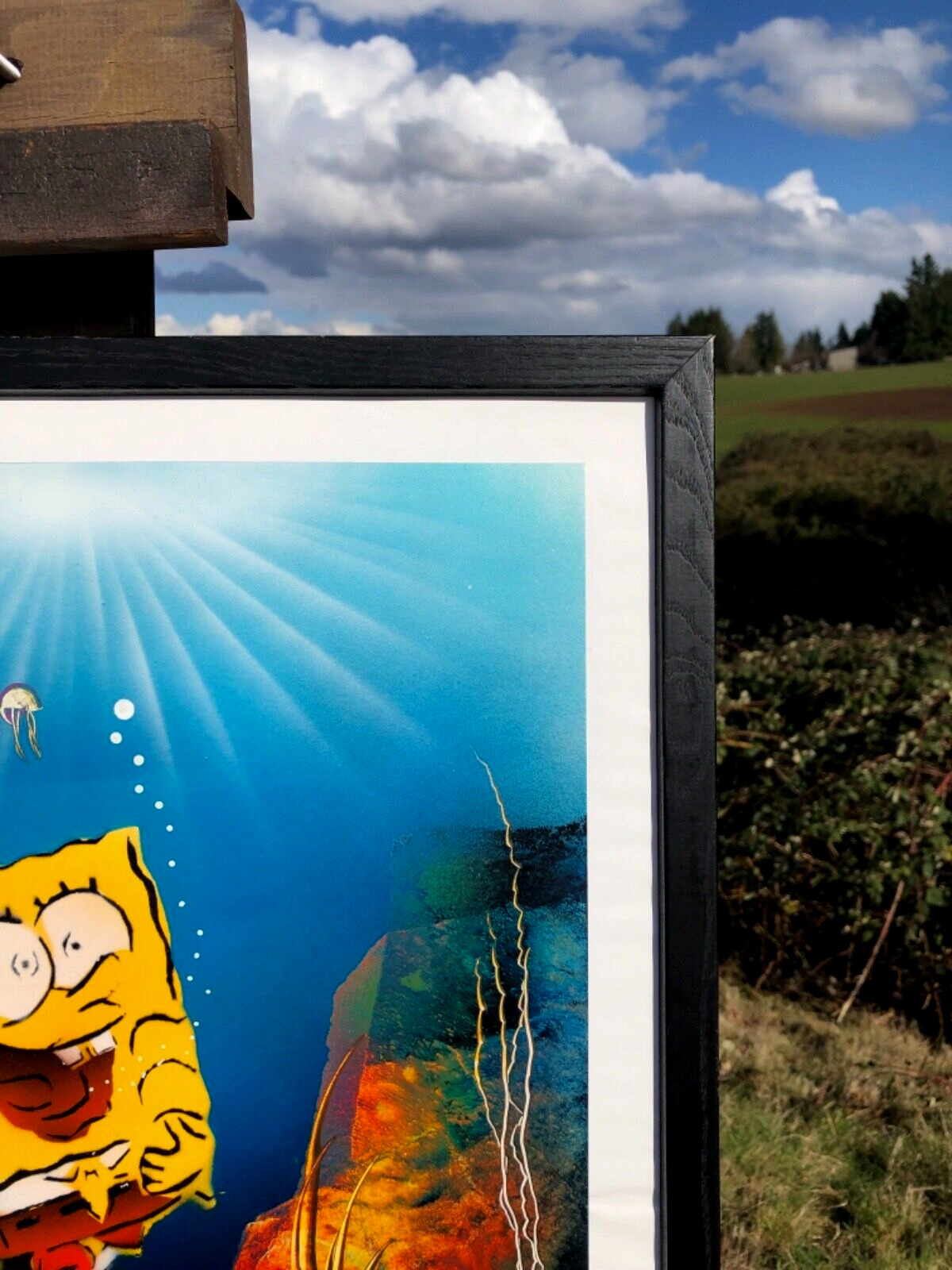 Sponge Bob Square Pants goes Swimming & Diving, Original Painting, Signed/Framed