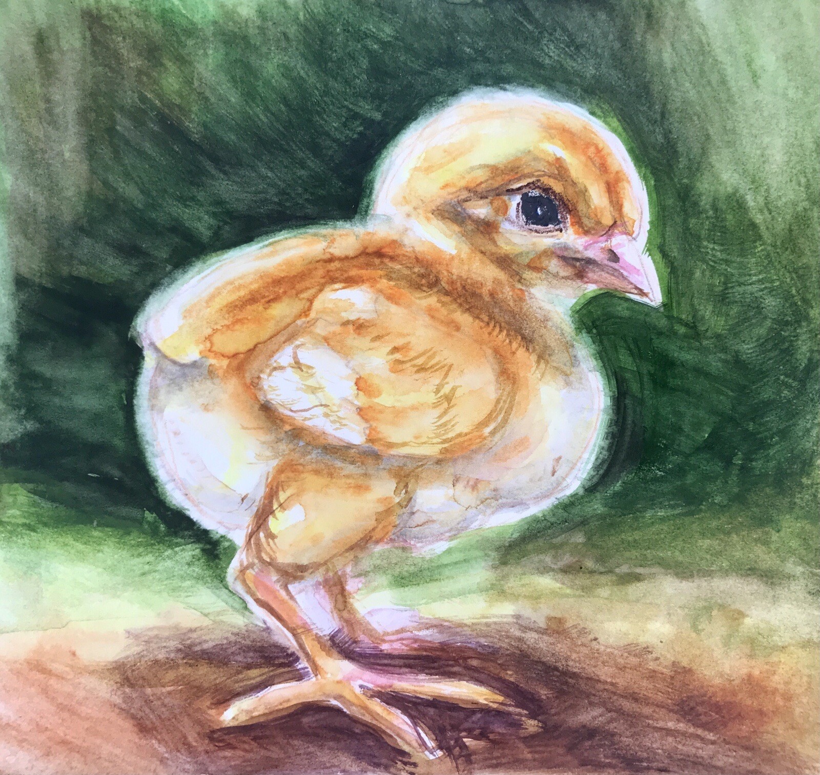 Watercolor Painting Original Chicken Birds Wall Art. 5×5 Farm Animal Wall Decor