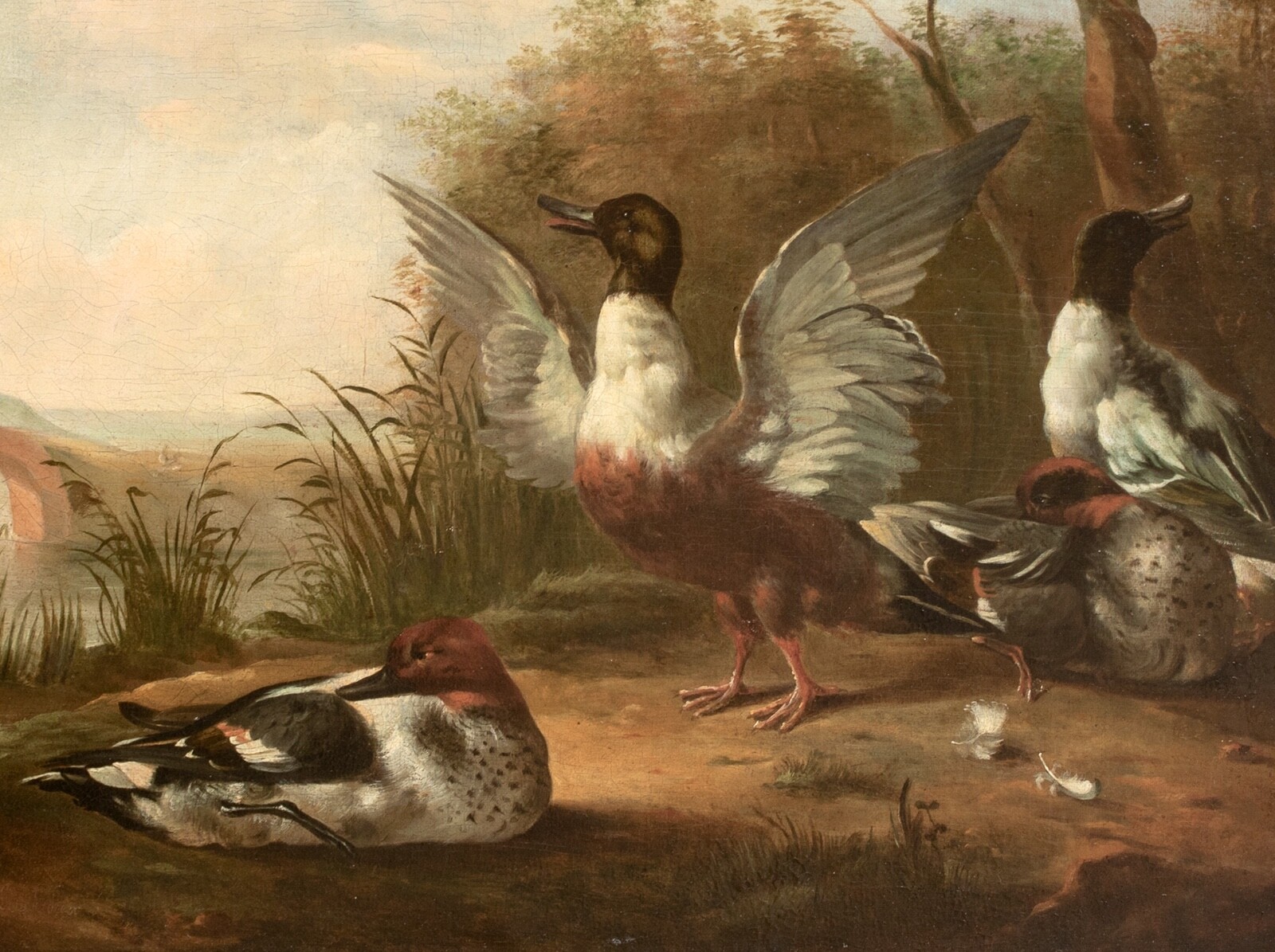 17th Century Ducks Birds Hunting On The River MARMADUKE CRADOCK (1660-1717)