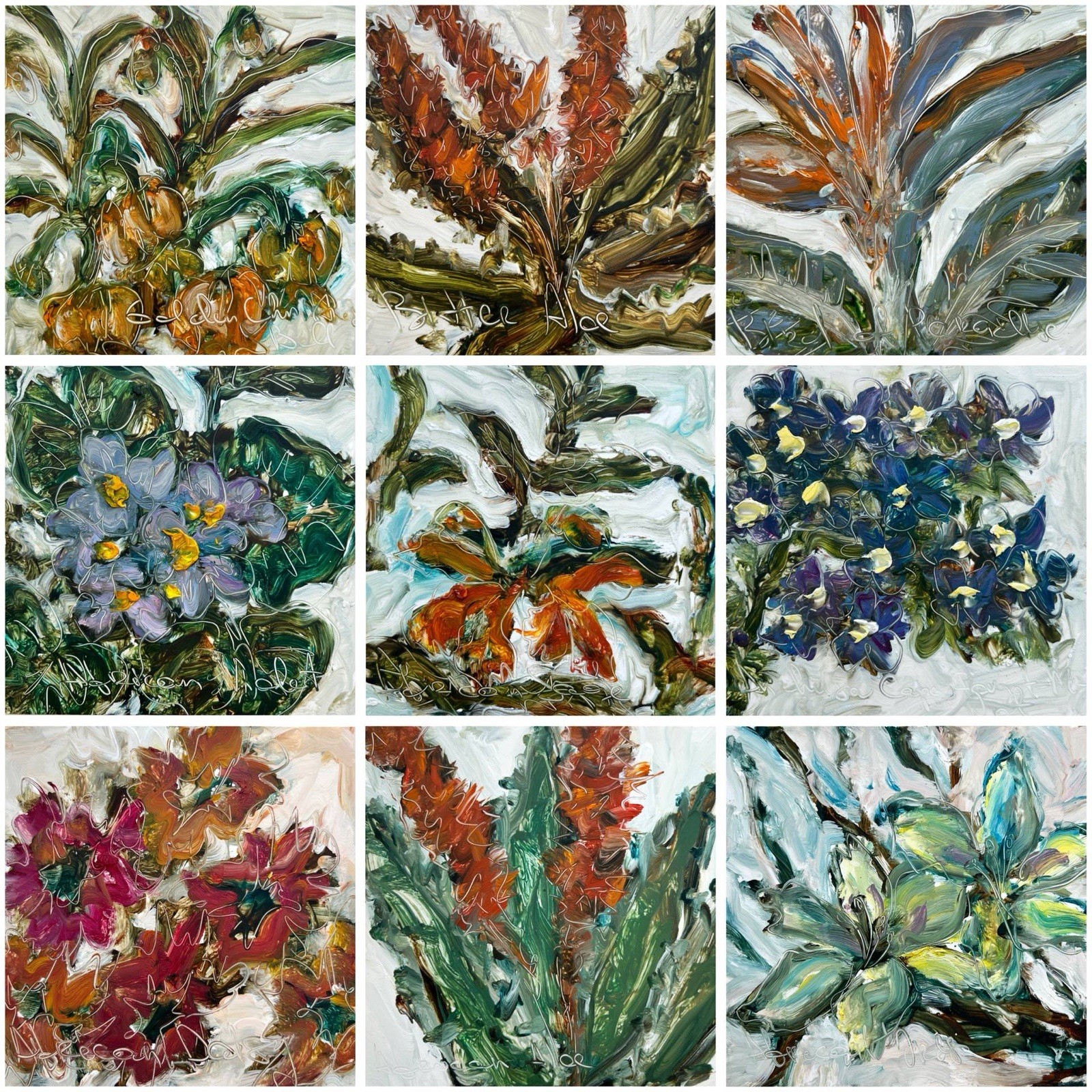 African Botanical Collection Native Flowers Plants – Set of 9 Original Paintings