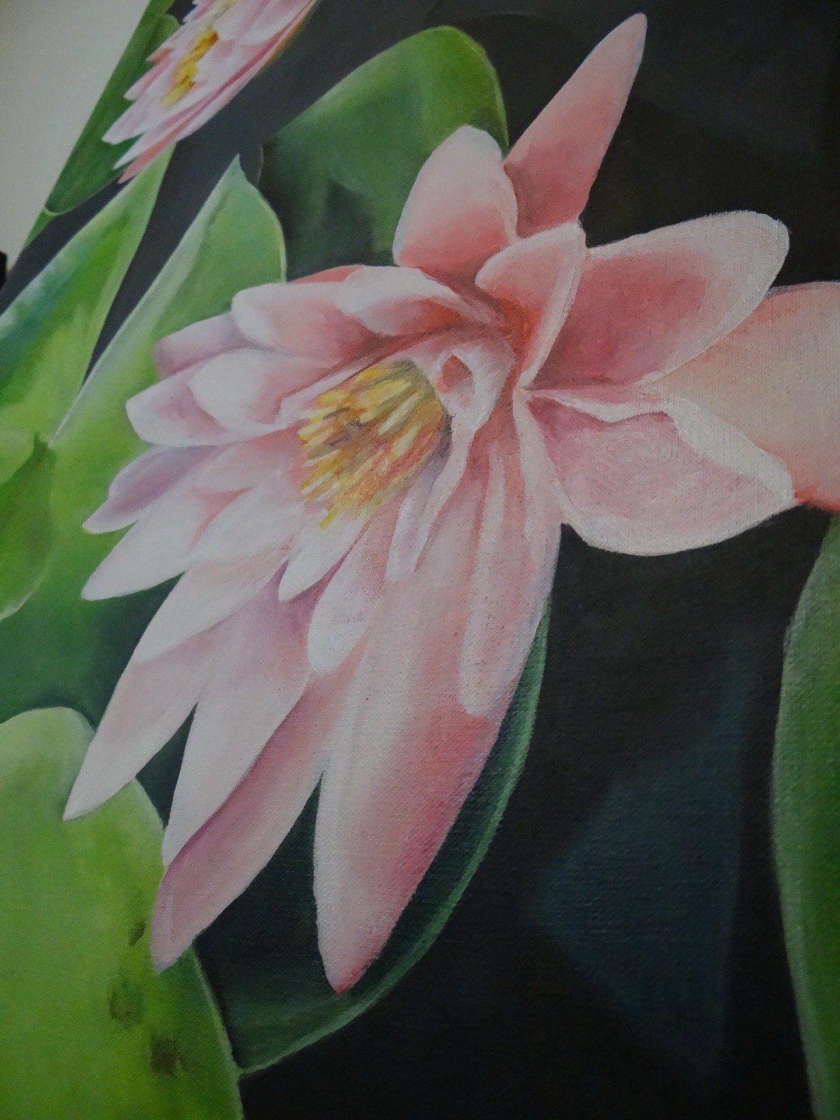 Maria Sanchez Signed Realism Painting Pink Water Lilies Canvas, Medium, 20”x28