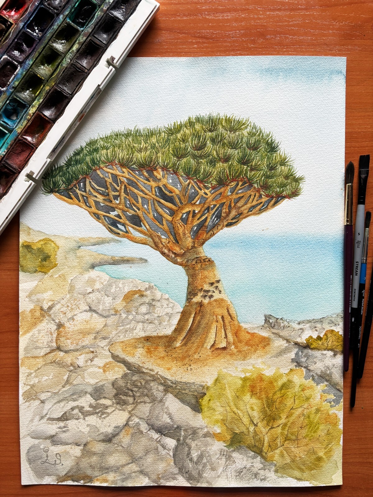 Dragon Tree Original Watercolor Paintin Sukotra Art Home Decor 12*16