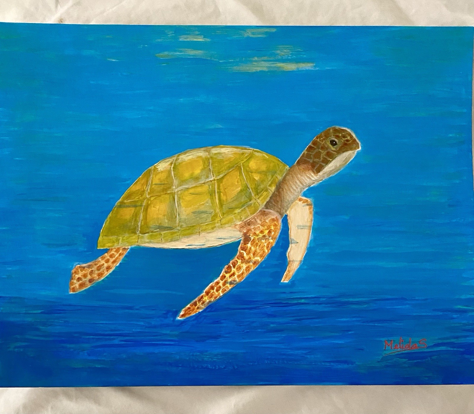 ORIGINAL SEA TURTLE Painting, Underwater Marine Life Art Ocean Animal Gift 9X12