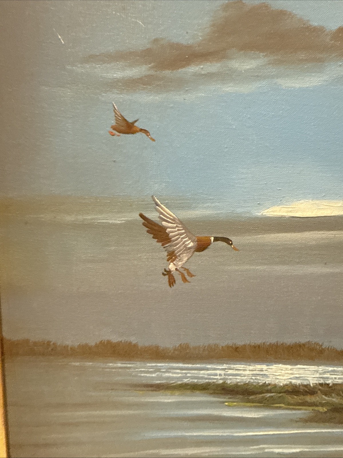 Real Signed Oil On Canvass Painting Lake Shore Ducks Duck Hunting 25×22” Sunset