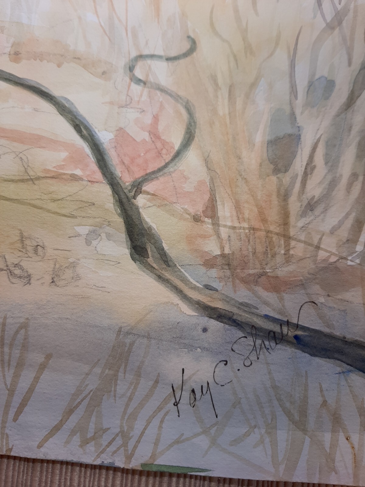 Orig Watercolor Landscape Chickadee at Fitts Hill KAY CHRISTIE SHAW, Scituate MA