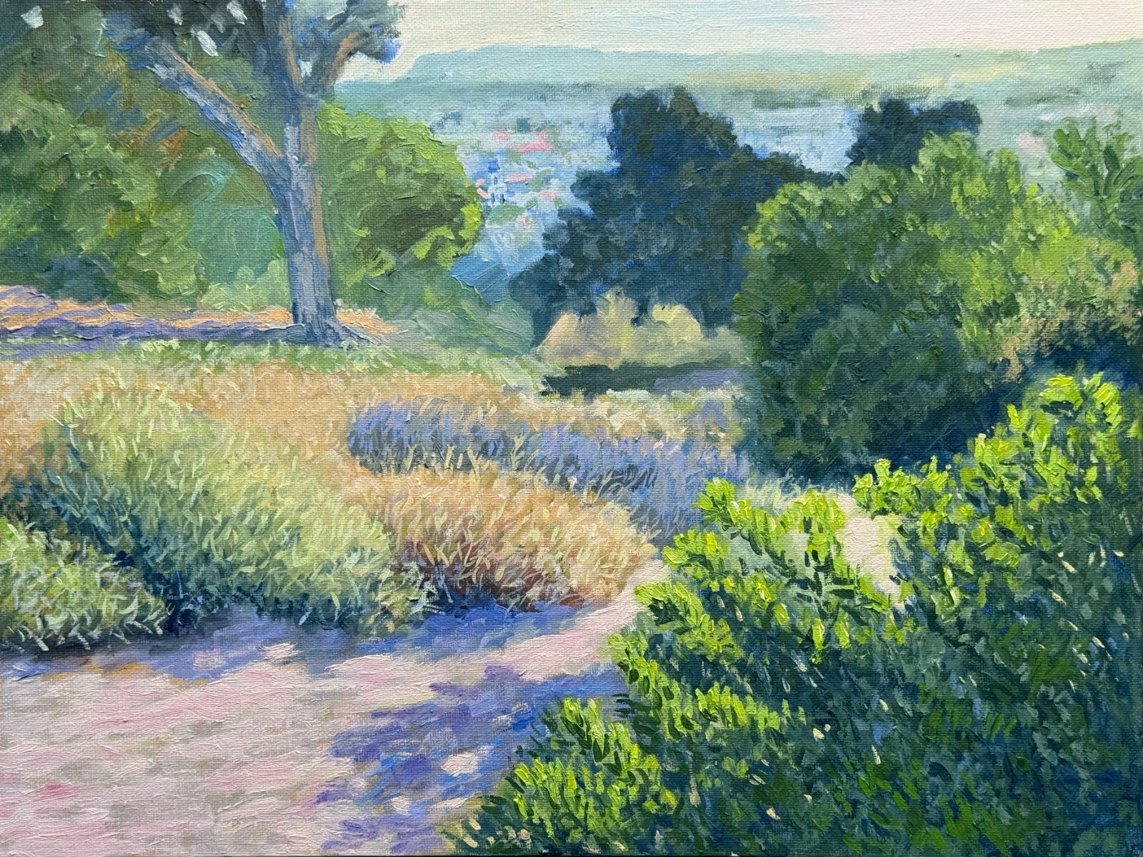 Oil Painting. Original. Impressionist Landscape Art. Sunlit Trees Scene