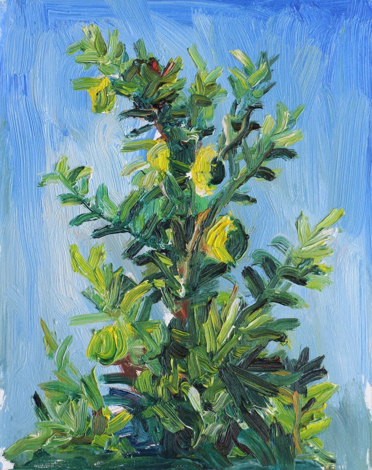 Lemon Tree Oil on Canvas Panel Plein Air Impressionism 10″ x 8″ John Kilduff
