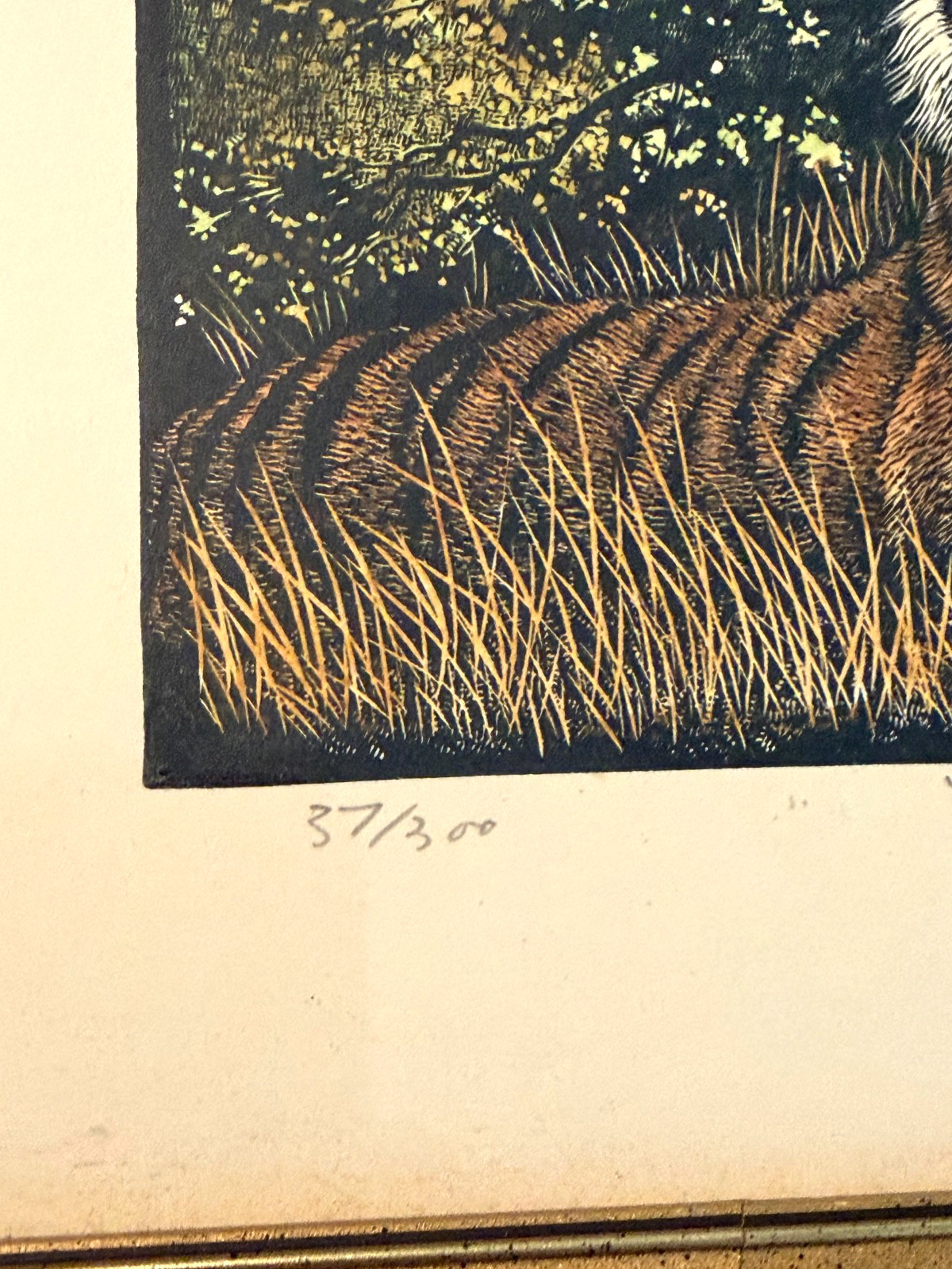 Rama Samaraweera Signed Tiger Print Limited Edition 37/300 In Frame 7.5″x9.5″