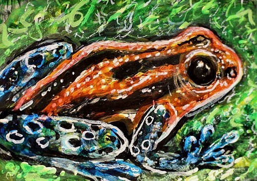 ORIGINAL ACEO Painting POISON DART FROG Amphibian Animal Spring Nature ATC ART