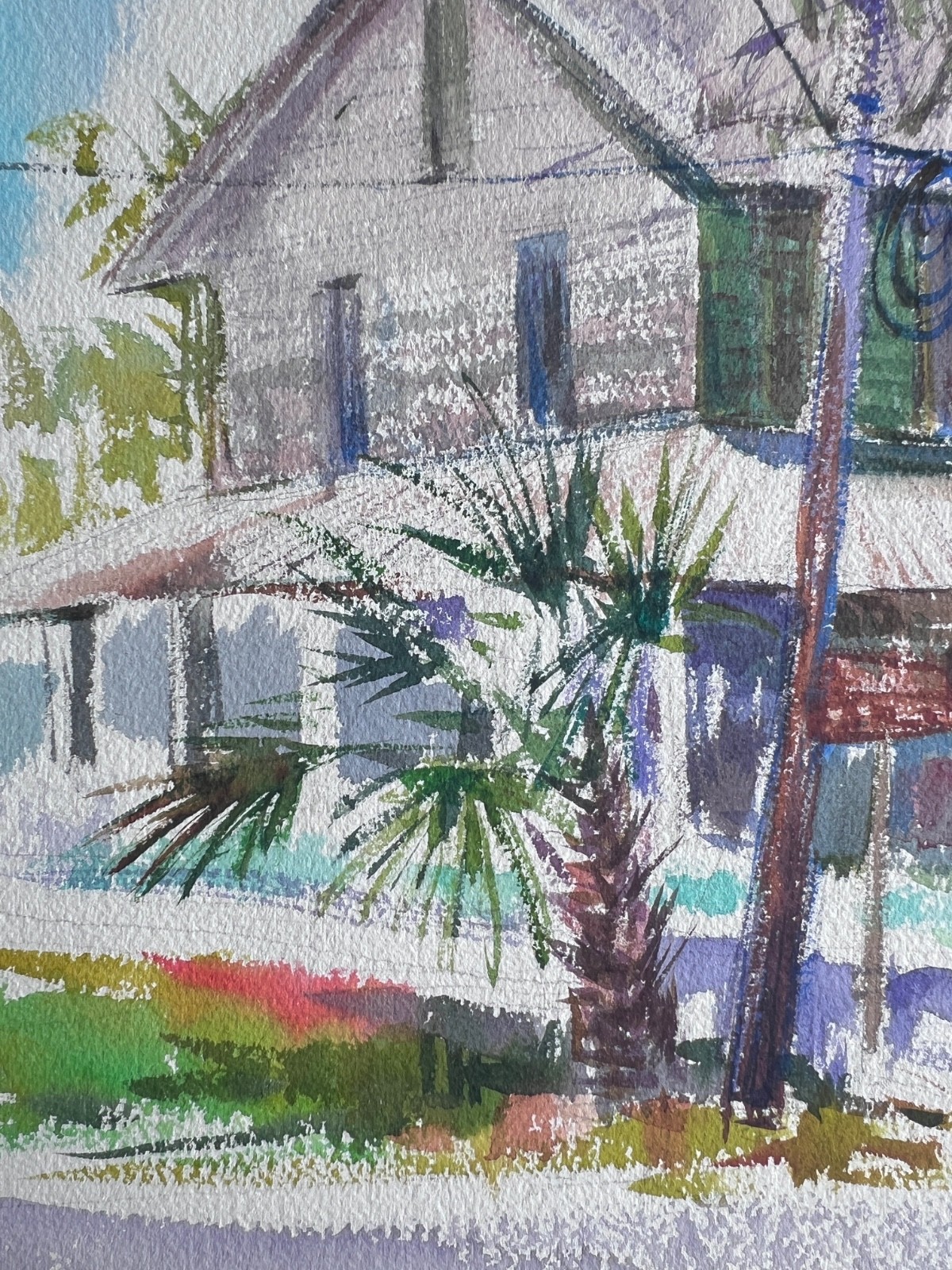 Original Micanopy FL Stewart -Merry House Historic Small Town USA Architecture