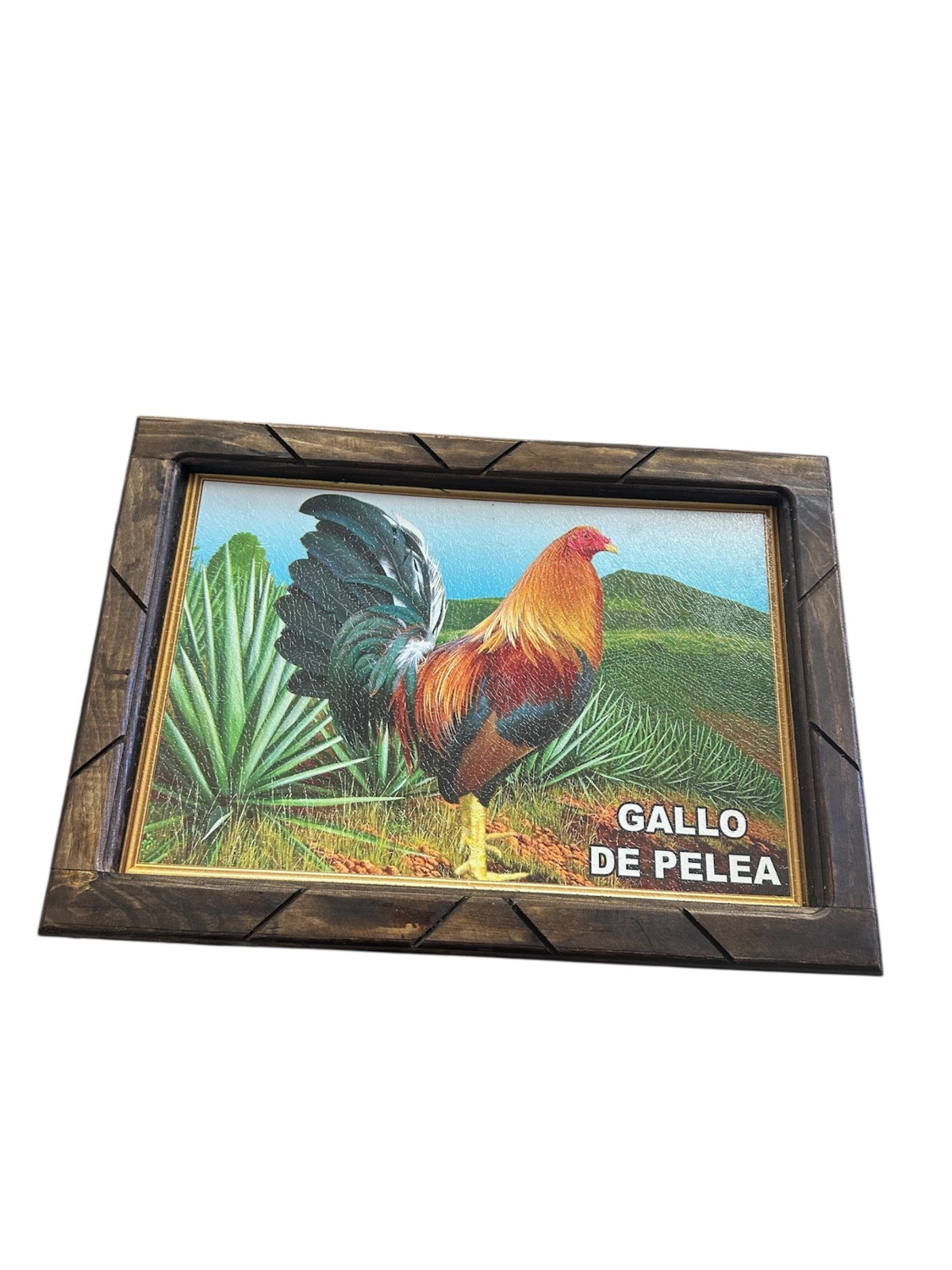 FRAMED PRINT ,18″ x 13″ , 1st Quality , ROOSTER , GALLO DE PELEA