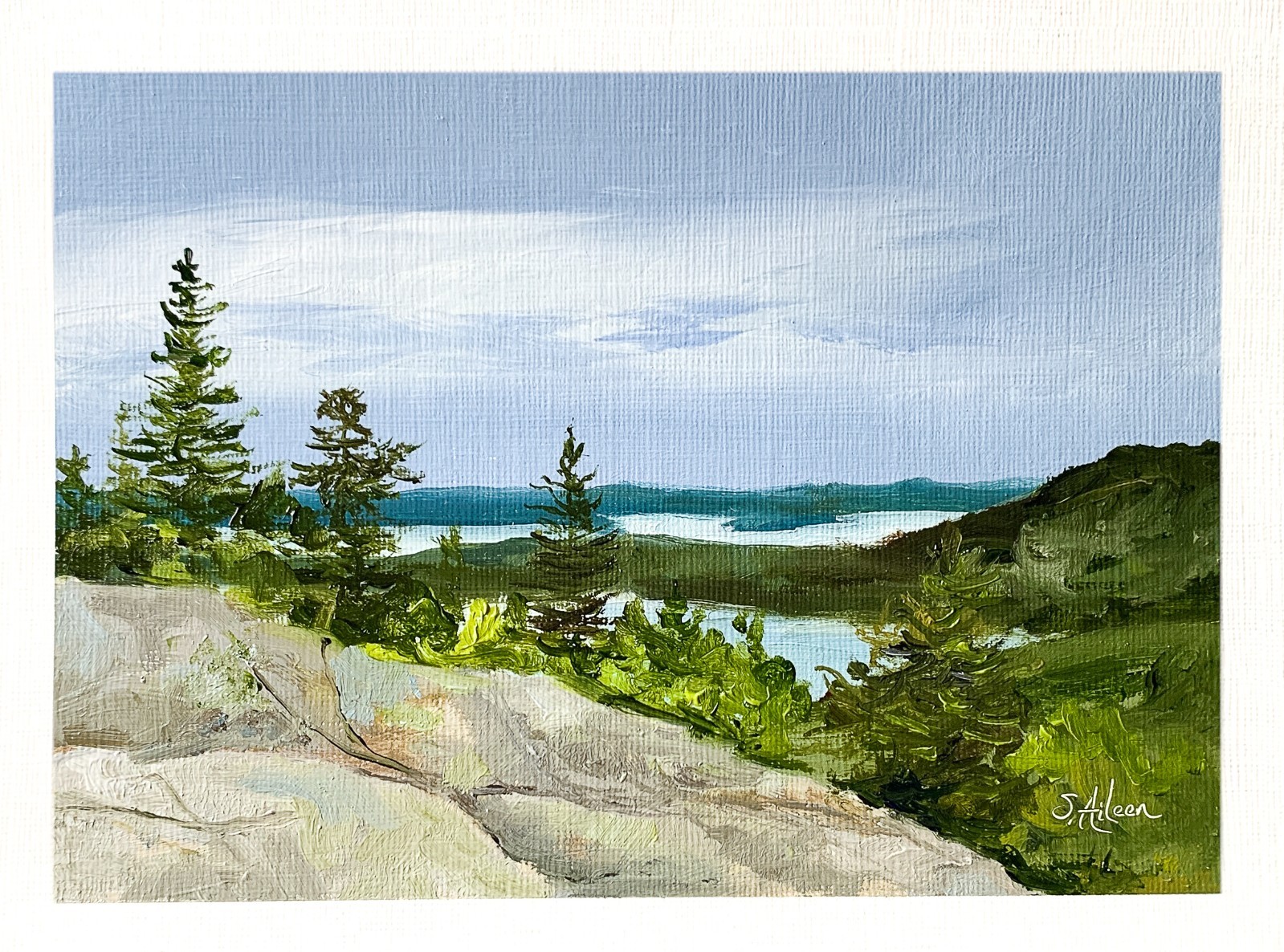 6×8 Original Oil Landscape Painting Pine Trees Rock Forest View Acadia Signed