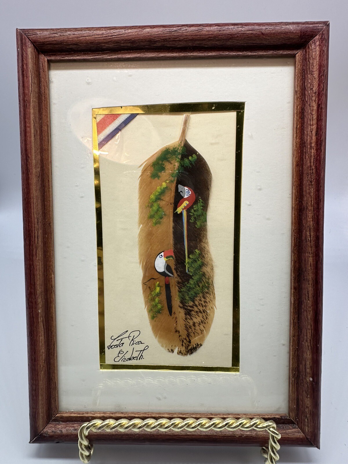 Vintage Souvenir Costa Rica TOUCAN Folk Art Painting on Feather Signed framed