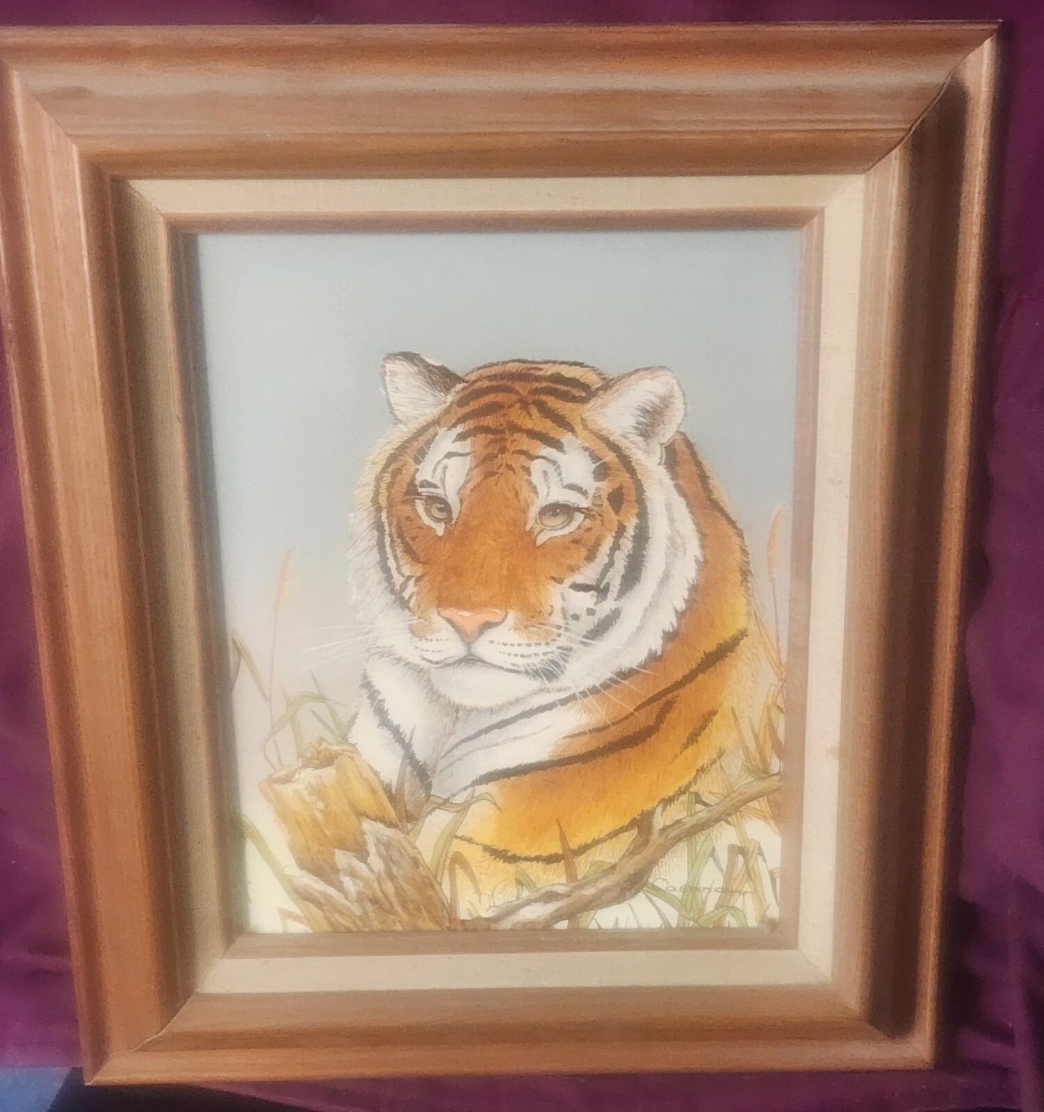 Original Bengal Tiger Oil Painting From 1980″s By Casandra Carson Rare Find.