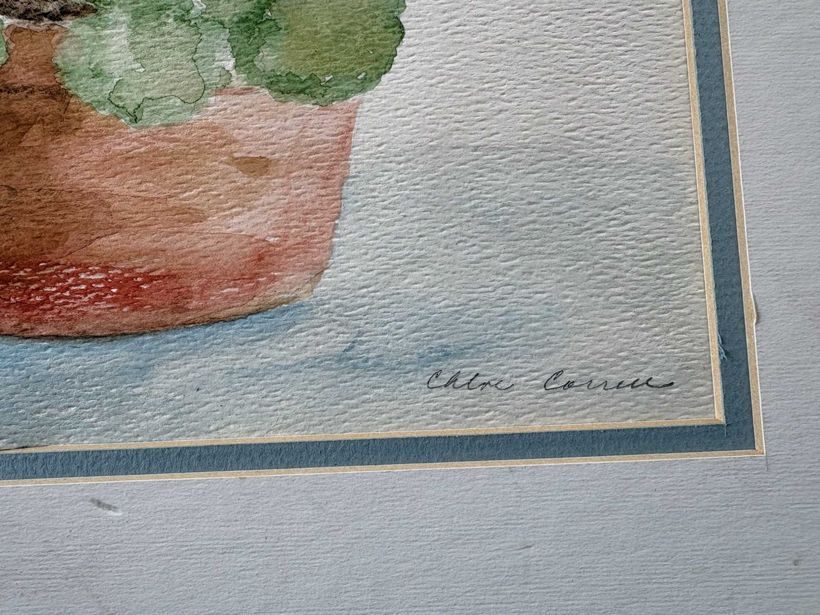 BEAUTIFUL ORIGINAL FRAMED GERANIUM WATERCOLOR PAINTING BY CHLOE CORRELL SIGNED