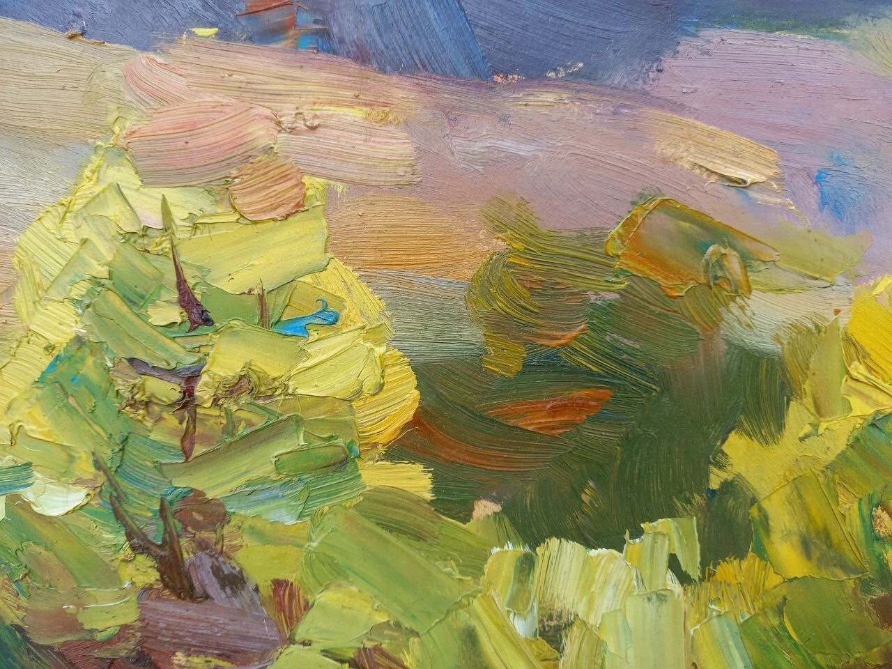 Oil painting Mountain pasture ground Ukrainian painter Cardboard Unframed Art