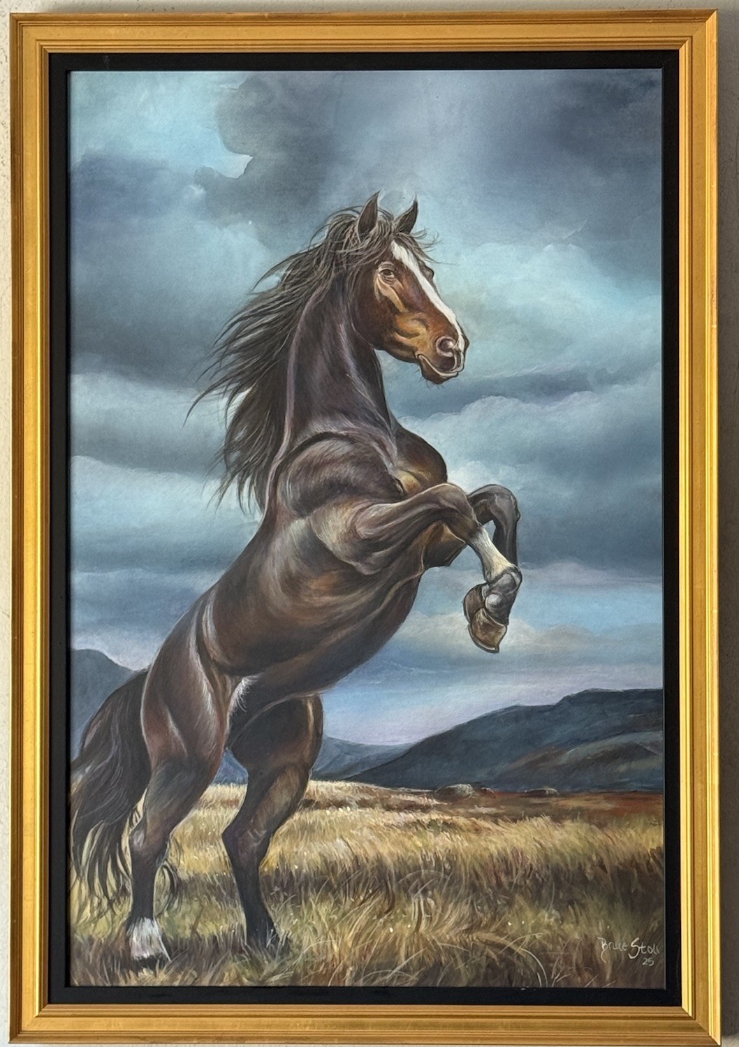 BRUCE STOLL WILD STALLION HORSE IMPRESSIONIST OIL PAINTING WESTERN EQUESTRIAN