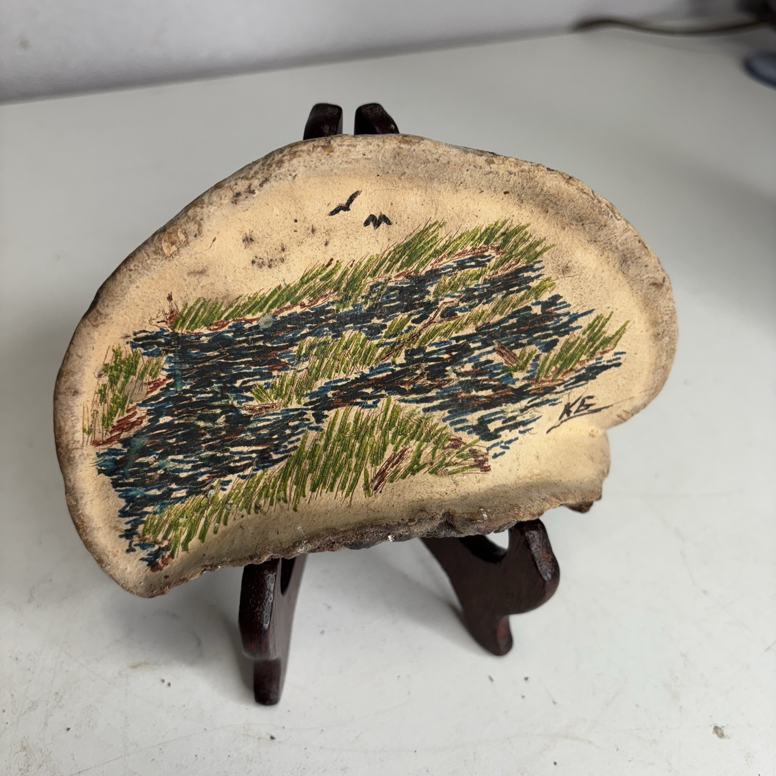 Vtg Painting on Conk Shelf Mushroom Fungus River Lake Grass Birds Scene Signed