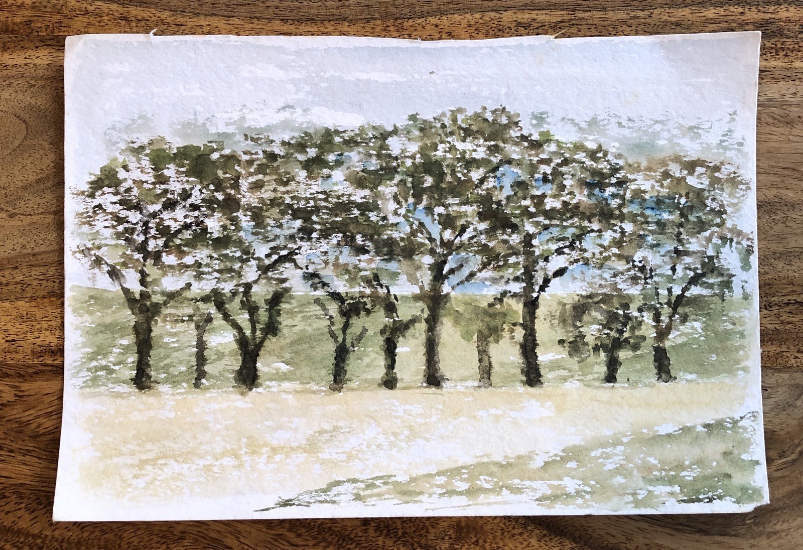 Unknown Impressionist – Grove – Fruit Blossom – Summer – Watercolour – 30X20, 5