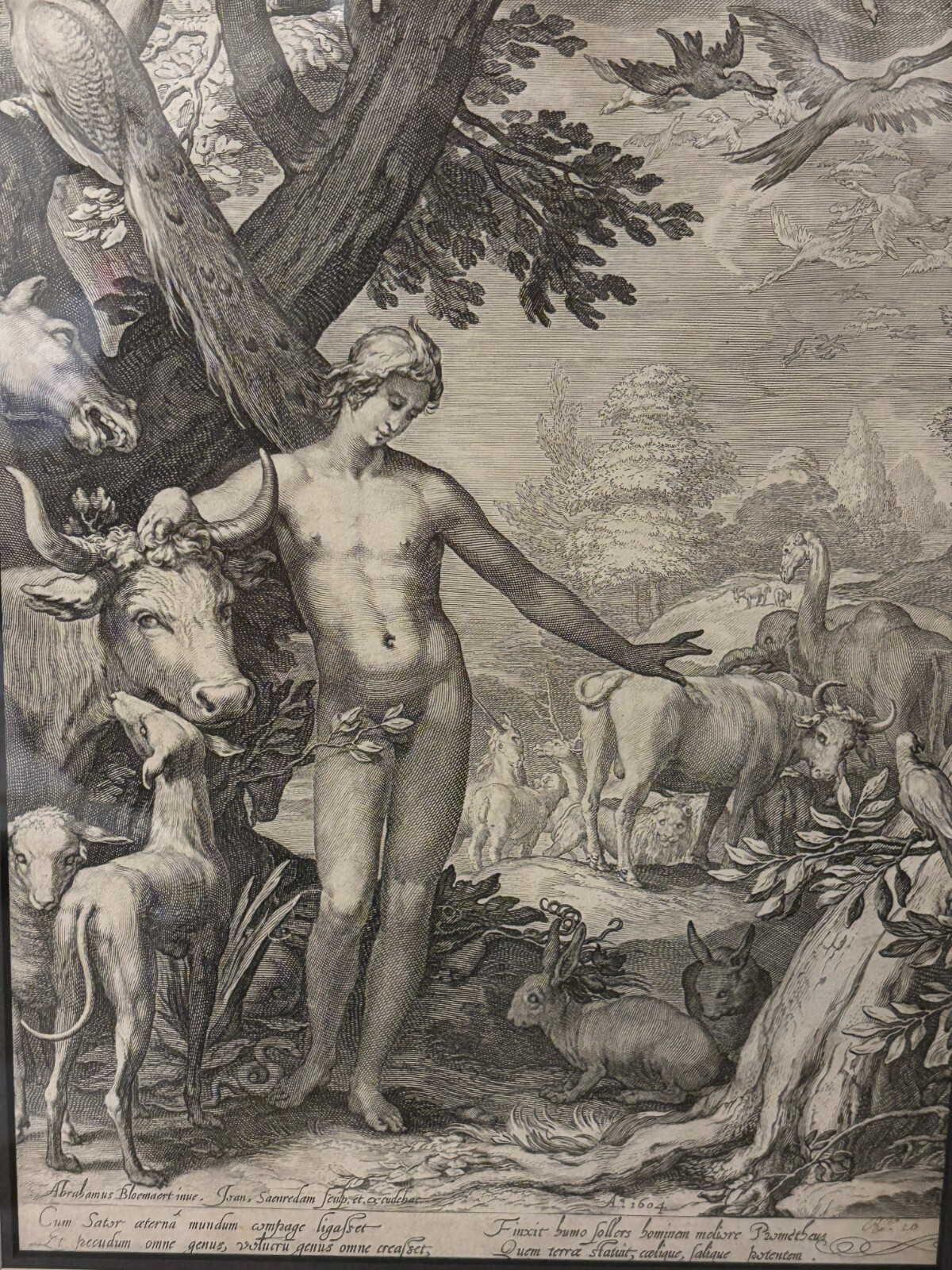 Adam Naming the Animals- Bloemart 16th century engraving Jan Saenredam Rare