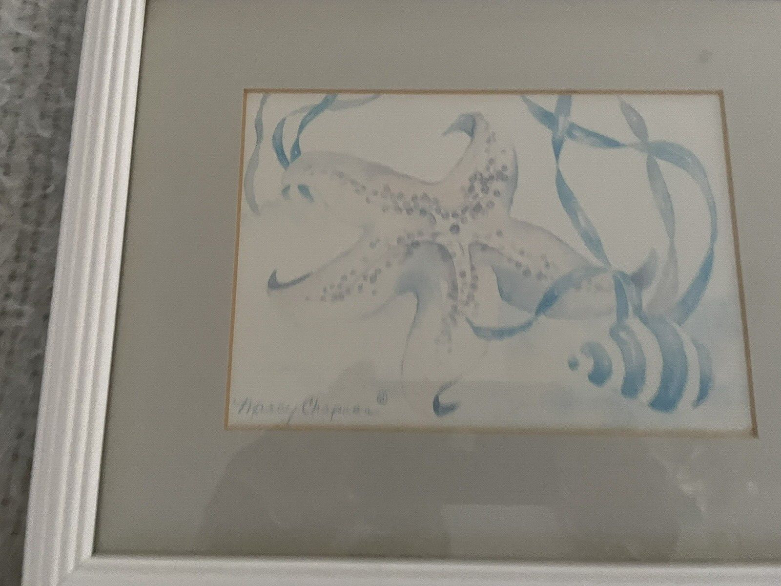 (3) Marcy Chapman Signed Matted Framed Art Print Watercolor Sea Life 9.5″x11.5″