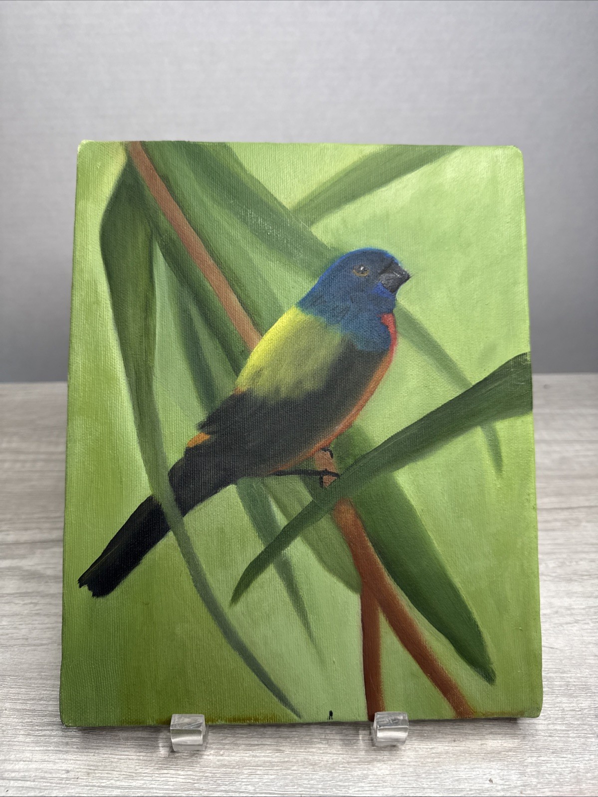Estate Find Original Vibrant Male Bunting Painting 8×10 OOAK Unsigned