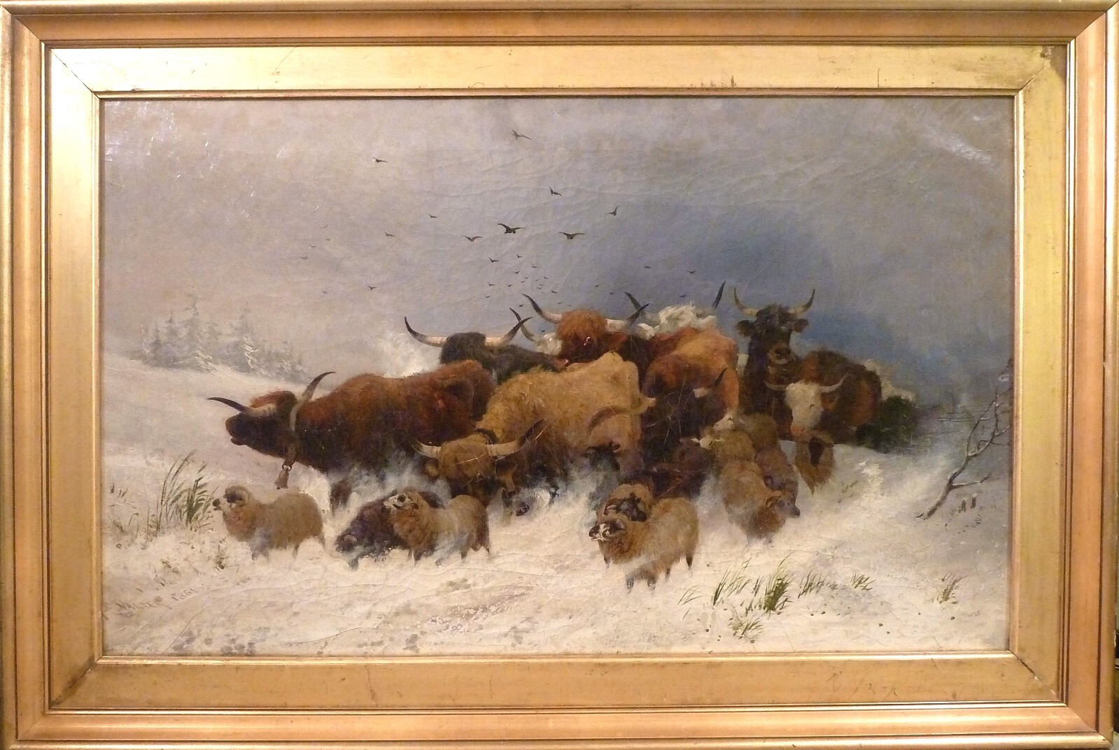 FREDERICK E. VALTER! HIGHLAND DROVE ON THE WAY TO MARKET ON A WINTERS DAY.