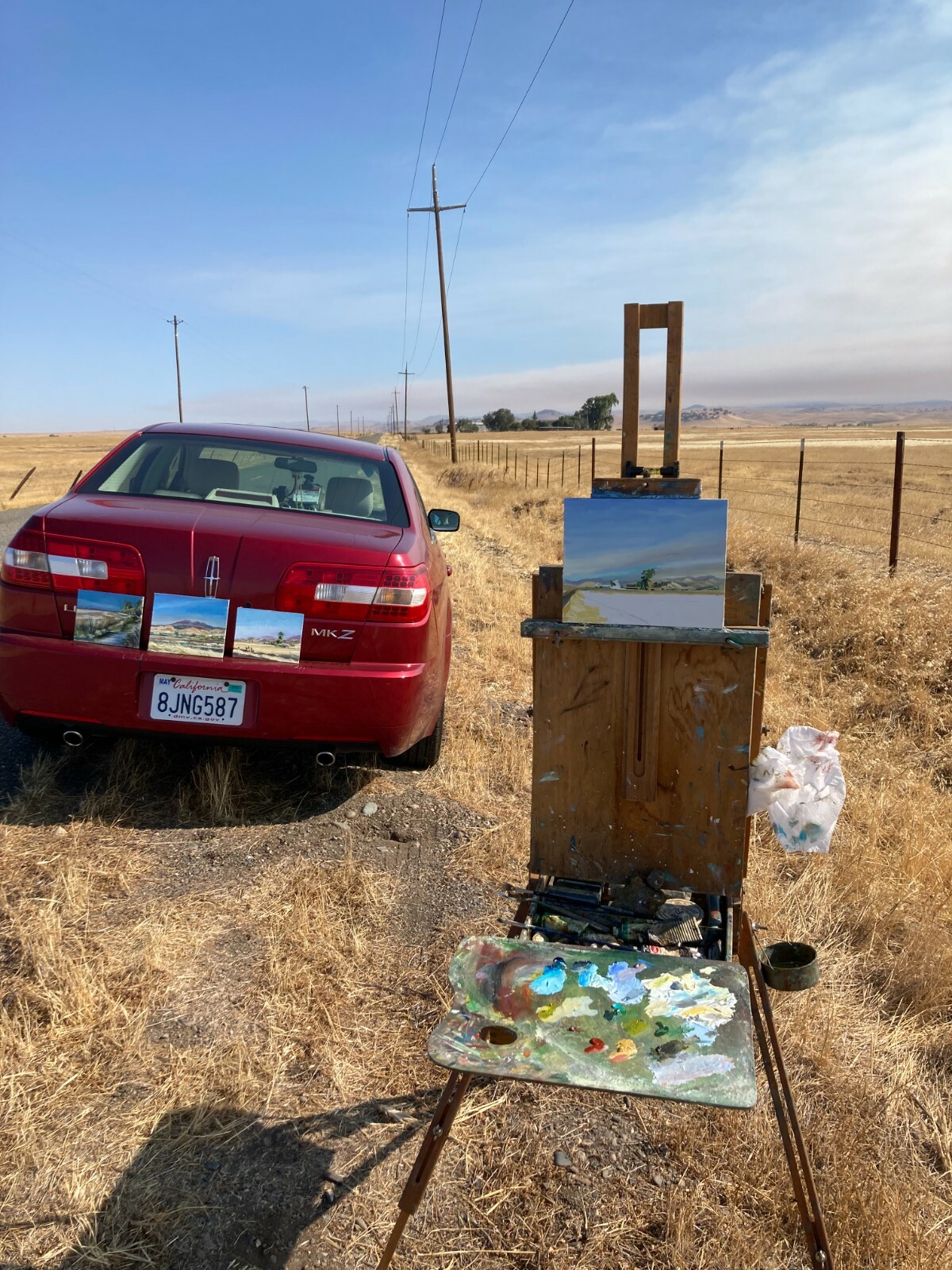 US Dept State Recognized artist: E. Merced foothills out Cunningham Rd