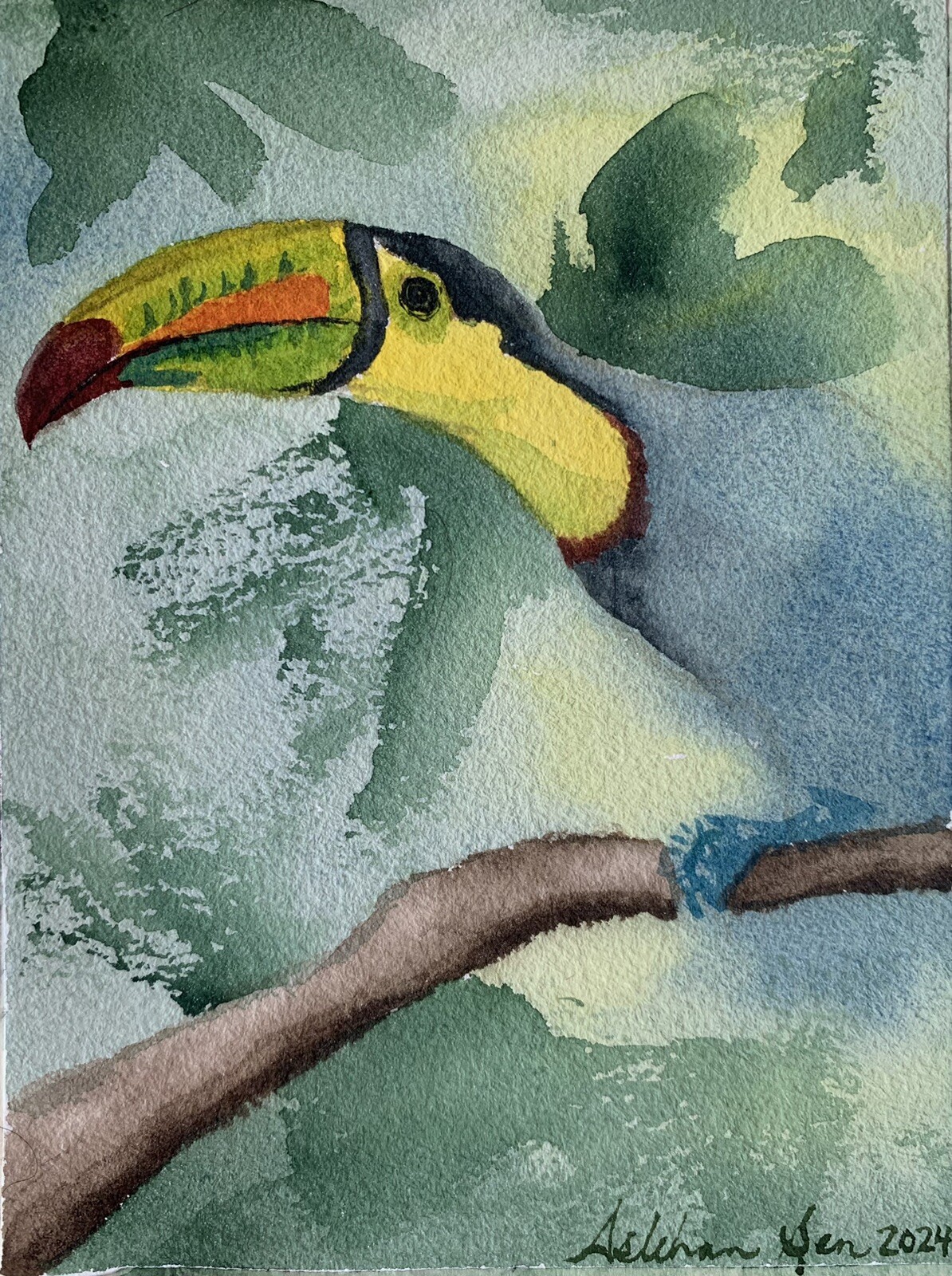 Original watercolor Toucan painting tropical bird art nature wildlife home decor
